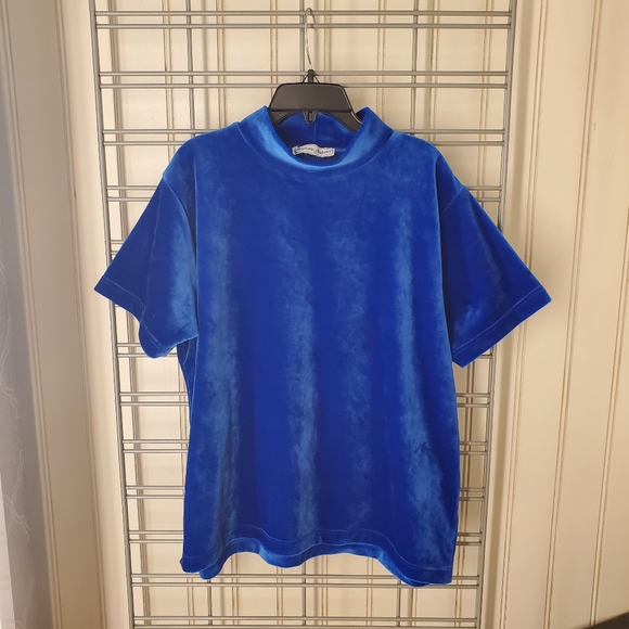 Vintage Velvet Velour Electric Blue Short Sleeve - Picture 5 of 5